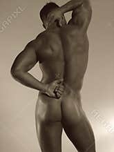 Male nude rear