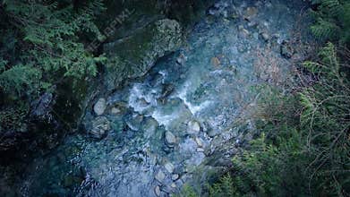 Birdseye View Of Forest River