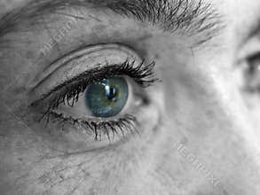 Girls eye