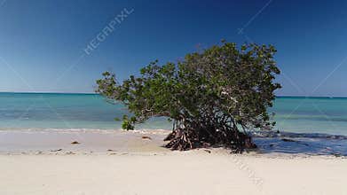 American classic car on the beach