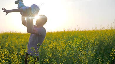 Joyful boy at hands parent in form of airplane at field, daddy with son at arms played into meadow flowers,