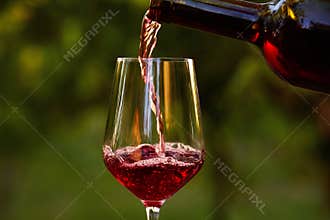 Pouring red wine into glass
