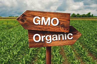 Gmo or Organic Farming Direction Sign