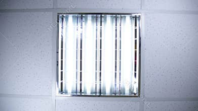 Fluorescent lights in office ceiling