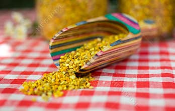 Close up of bee pollen