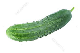 One Cucumber isolated on White