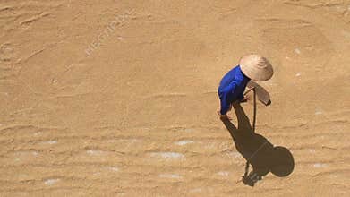Rice drying after harvest