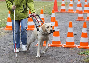 Blind person with her guide dog