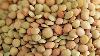 Green Lentils close up