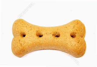 Dog bone biscuit