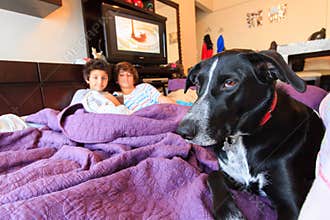 Kids and dog