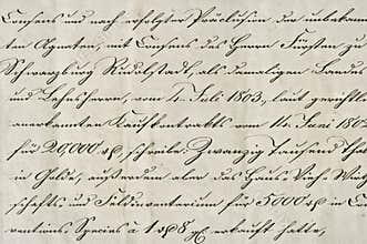 Antique calligraphic handwriting. Old ink manuscript. Paper back