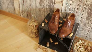 Elegance wedding groom shoes