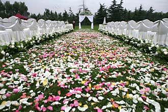 Wedding site