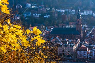 Autumn in Heidelberg