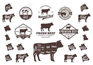 Vector Beef Logo, Icons, Charts and Design Elements