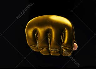 Gold Glove for the martial arts, mma. space for text. logo
