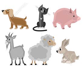 Six pets set