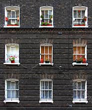 Apartment windows