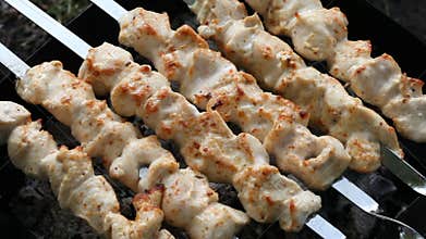 Barbecue skewers with meat on the brazier. Chicken shish kebab