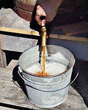 Homemade Beer