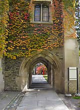 College Buildings