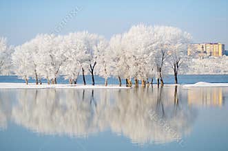 Winter landscape