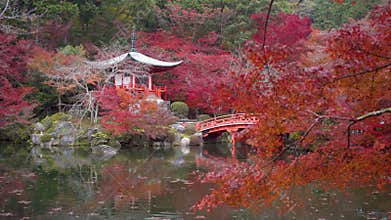 Daigo-ji temple with colorful maple trees in autumn, Kyoto, Japan.