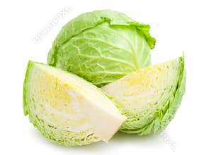 Cabbage