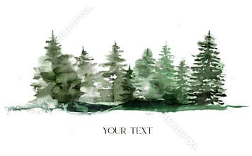 Watercolor winter foggy evergreen forest. Hand painted fir trees illustration isolated on white background. Holiday clip