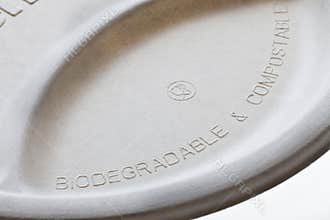 Biodegradable and compostable paper plate