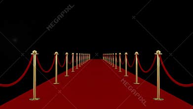 Red carpet gala or academy awards ceremony