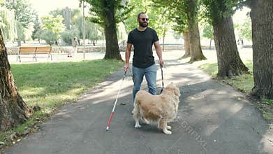 Young blind man with white cane and guide dog walking on sidewalk in a park