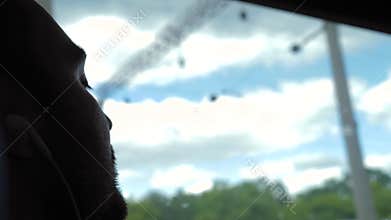 Caucasian man sleeping in a train. View to the window.