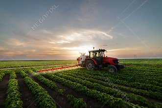 Tractor spraying soybean field