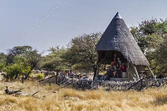 Open cabin for wildlife watching in Okaukuejo Waterhole in Etosha National Park.