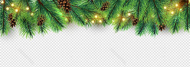 Christmas border. Holiday garland isolated on transparent background. Vector Christmas tree branches, lights and cones