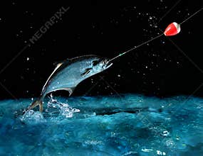 Catching a big fish at night