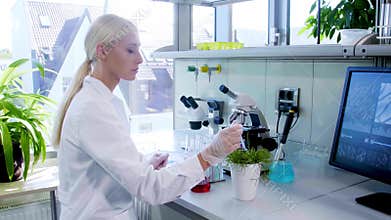 Female scientist working in modern lab. Doctor making microbiology research. Biotechnology, chemistry, bacteriology