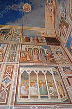 Amazing Giotto fresco cycle in the Scrovegni Chapel, Padua Italy