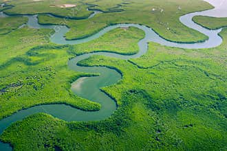 Aerial view of Amazon rainforest in Brazil, South America. Green forest. Bird`s-eye view