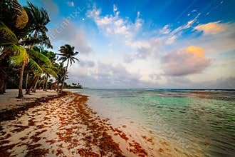 Bois Jolan beach in Guadeloupe at sunset