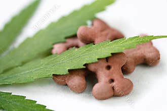 CBD food for Dogs Wellness, Natural supplements for animals and pets with medicine treats like bone. Legal weed products and