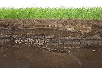 Grass and soil layers isolated on white