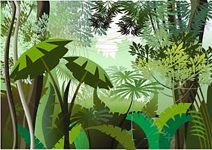 Jungle Day