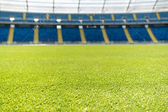 Grass at a football stadium