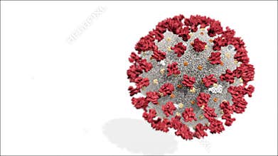 Realistic 3D animation of the Coronavirus 2019-nCoV Wuhan. SARS-CoV-2 known as 2019-nCoV, COVID-19. Seamless loop.