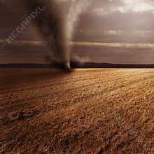 Tornado in field