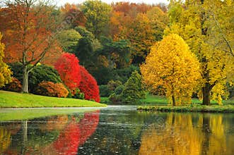 The stunning beauty of autumn in England.