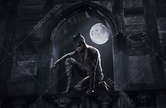 Beautiful catwoman